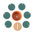 AussieSuperStore Homeware Supplies Quirky Designer Cactus Creative Coasters Set with Storage Display Stand Quirky Designer Cactus Creative Coaster Set with Storage Display Stand CBCATUCOASTER